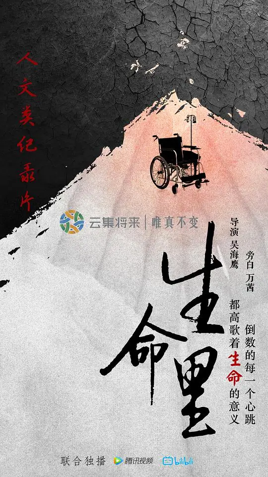 《生命里》：一部关于爱与失去的催泪电影，带你体验生命的意义