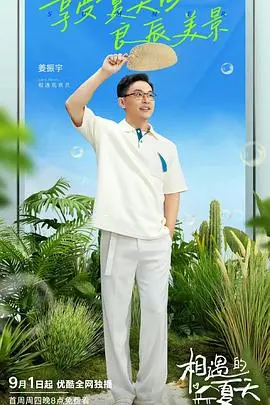 《相遇的夏天 纯享版》：心动预警！夏日恋曲的甜蜜悸动与深度剖析