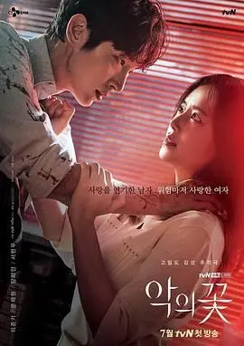 《恶之花》：一部挑战道德底线、深入人性黑暗面的韩剧佳作，探讨身份认同与家庭羁绊的深刻篇章